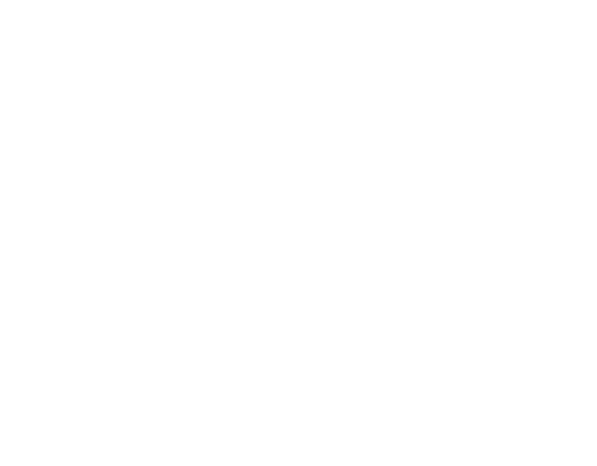 allbatross portföy